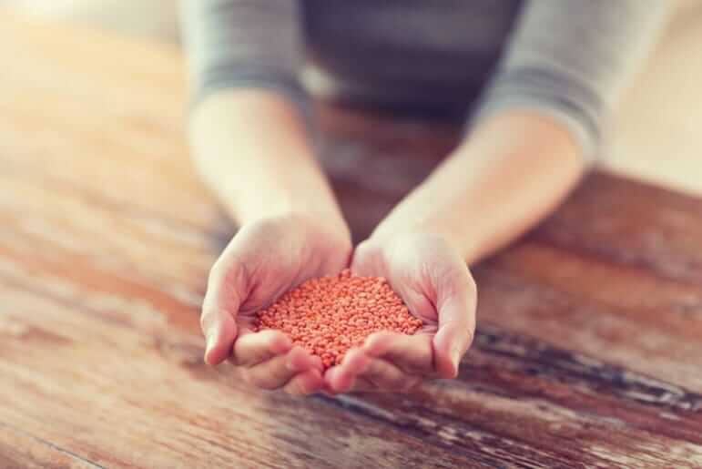 Bosto - superfood, rode quinoa in handpalmen